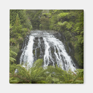 Imã Cachoeira Owharoa, Karangahake Gorge, perto de Pae