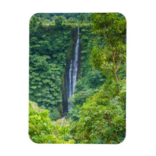 Ímã Cachoeira Papapapaitai na Selva