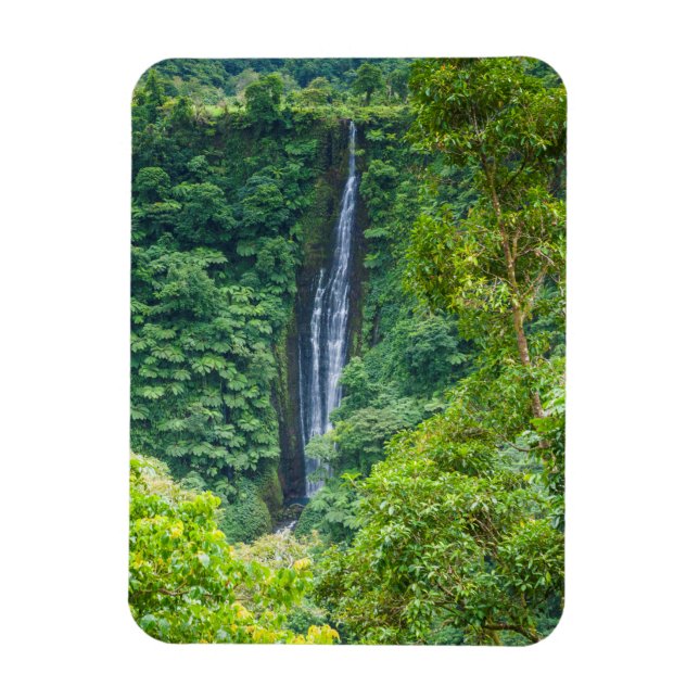 Ímã Cachoeira Papapapaitai na Selva (Vertical)
