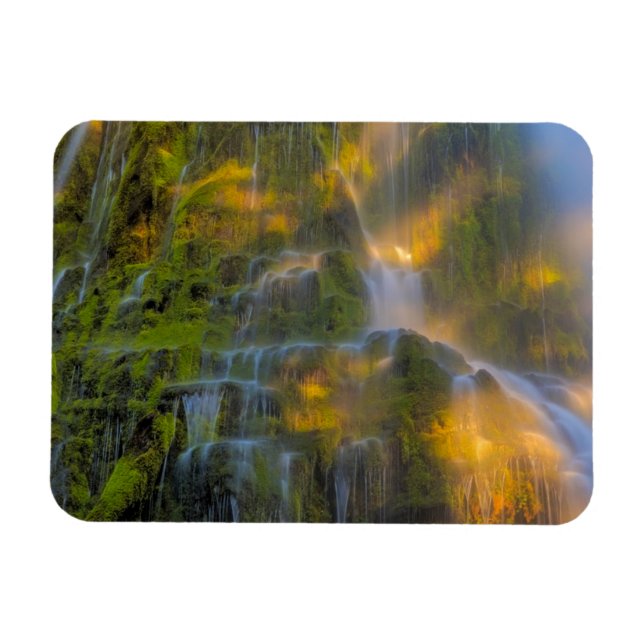 Ímã Cachoeira Proxy Falls Three Sisters Wilderness Ore (Horizontal)