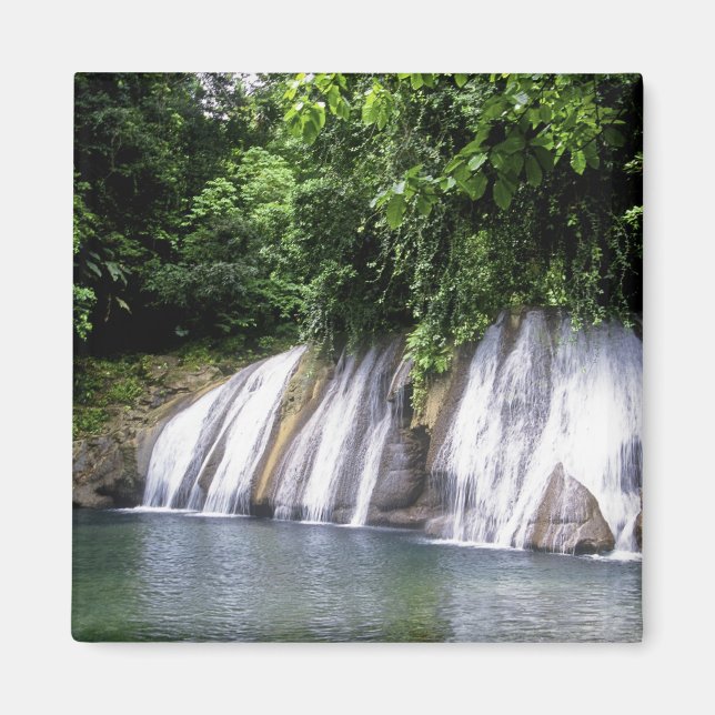 Imã Cachoeira Reach, Port Antonio, Jamaica (Frente)
