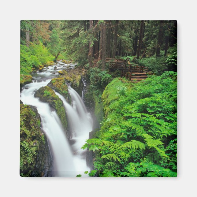 Imã Cachoeira Sol Duc no Parque Nacional Olímpico em (Frente)