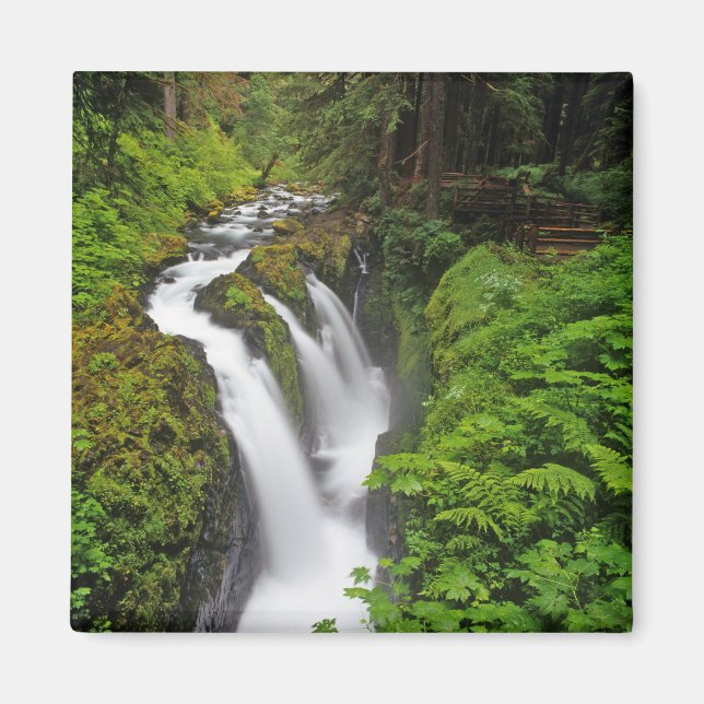 Imã Cachoeira Sol Duc no Parque Nacional Olímpico em (Frente)
