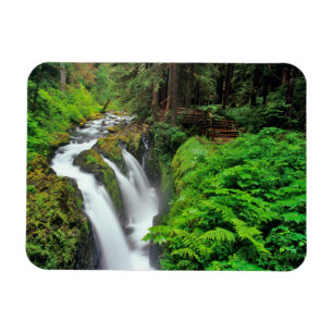 Ímã Cachoeira Sol Duc no Parque Nacional Olímpico em
