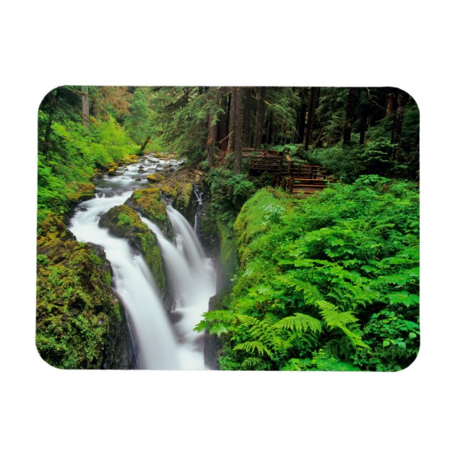 Ímã Cachoeira Sol Duc no Parque Nacional Olímpico em (Horizontal)