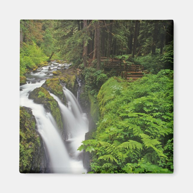 Imã Cachoeira Sol Duc no Parque Nacional Olímpico em 2 (Frente)