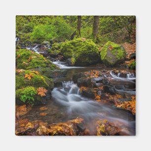 Imã Cachoeira Starvation Creek   Columbia Gorge, Orego