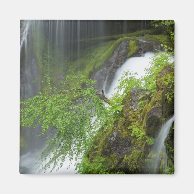 Imã Cachoeira Verde Pitoresca (Frente)