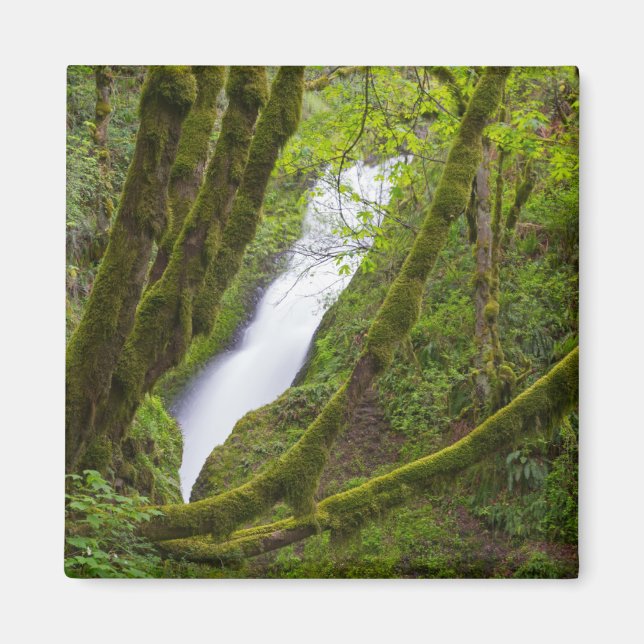 Imã Cachoeira Véu de Noiva (Frente)