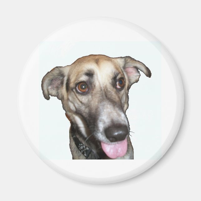 Imã Cachorro 2, Magnet (Frente)