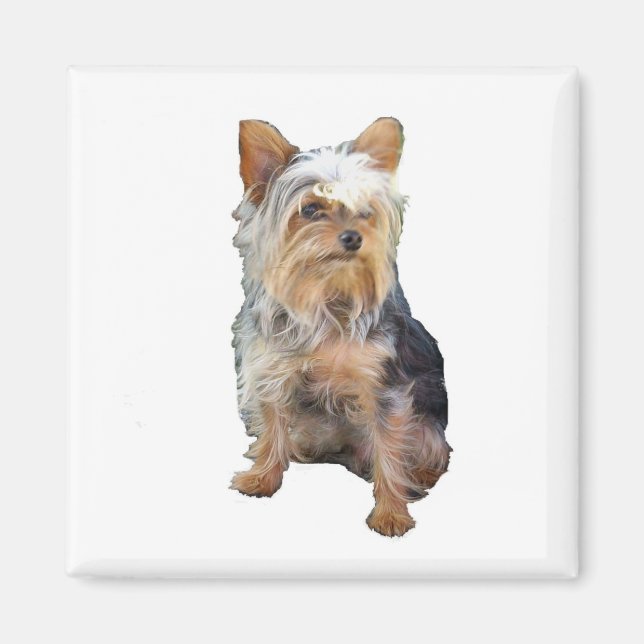 Imã Cachorro 4 A (Frente)