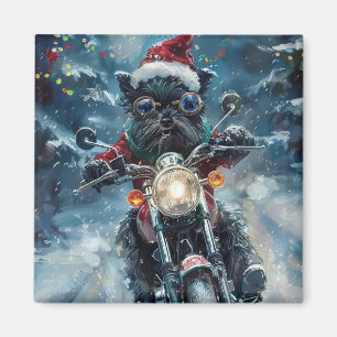 Imã Cachorro Affenpinscher Pilotando Motocicleta Natal