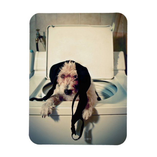 Ímã Cachorro ajudando com a lavagem (Vertical)