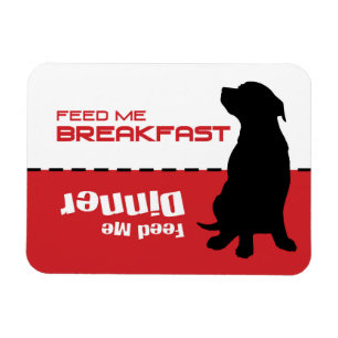 Ímã Cachorro alimentando-me O Cachorro do Magnet está 