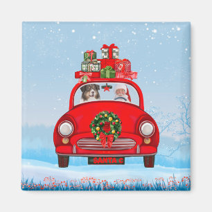Imã Cachorro Australiano No Carro Com Papai Noel