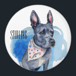 Imã Cachorro Azul De Pit Bull Personalizável<br><div class="desc">Este é um desenho e uma pintura aquosa de um touro de cinza. Ele tem um cachecol com pontos vermelhos e azuis (estrelas) nele. Sua característica proeminente é seus longos ouvidos que se levantam como um coelho!</div>