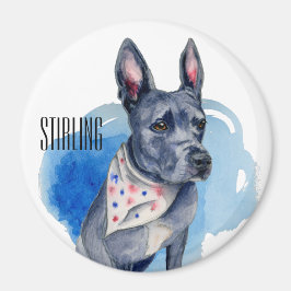 Imã Cachorro Azul De Pit Bull Personalizável