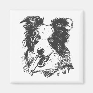 Imã Cachorro Border Collie - Amante do Aussie