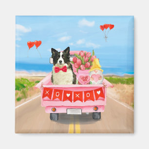 Imã Cachorro Border Collie Dia dos Namorados Caminhão