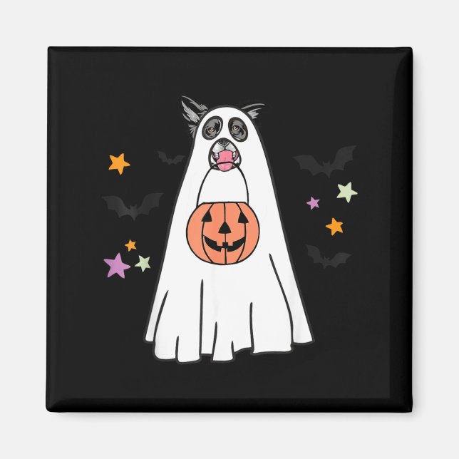 Imã Cachorro Border Collie Preto E Branco Boo Hallowee (Frente)