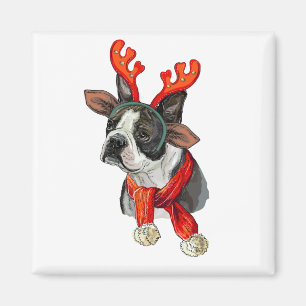 Imã Cachorro Boston terrier de Natal