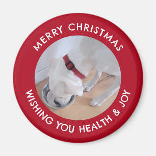 Imã Cachorro Branco Bonito Foto Saudável, Feliz Natal 