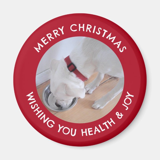 Imã Cachorro Branco Bonito Foto Saudável, Feliz Natal  (Frente)