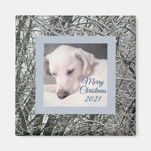 Imã Cachorro branco pacífico Cachorro nevado Dia de N
