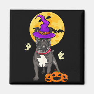 Imã Cachorro Bulldog Francês Preto Bruxa Fantasia de H