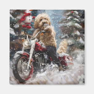 Imã Cachorro Cachorro Cachorro Andando Motocicleta Nat