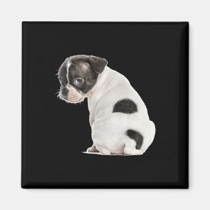 Imã Cachorro Cachorro Com Sono Bonito Face Para Amante