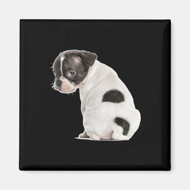 Imã Cachorro Cachorro Com Sono Bonito Face Para Amante (Frente)