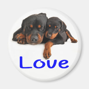 Imã Cachorro Cachorro Rottweiler Marrom e Preto Amor
