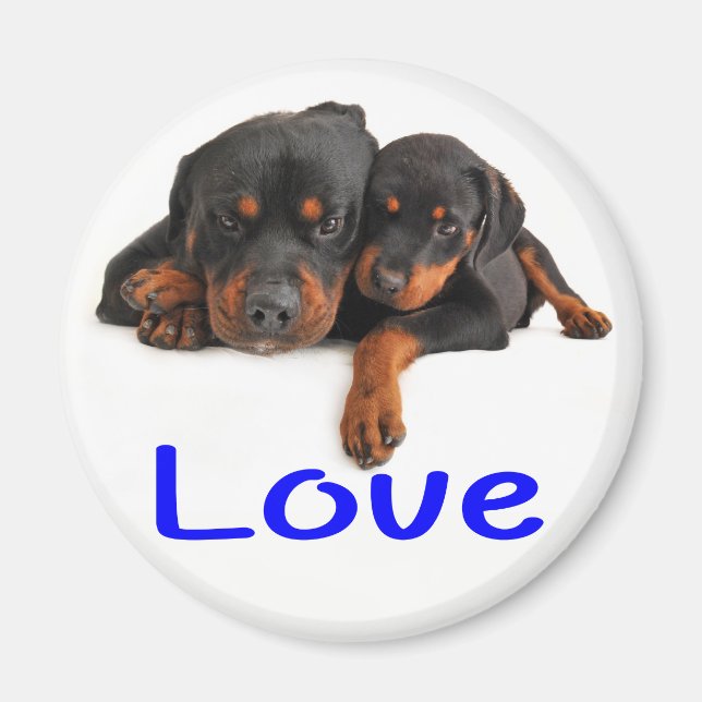 Imã Cachorro Cachorro Rottweiler Marrom e Preto Amor (Frente)