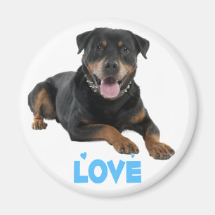 Imã Cachorro Cartoon de Rottweiler Marrom e Preto Amor