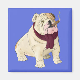 Imã Cachorro Cartoonista Bulldog Inglês Azul Magnet