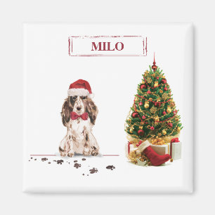 Imã Cachorro Castanho Espanhol Engraçado Cachorro de N