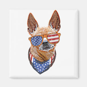 Imã Cachorro Chihuahua EUA Independência Americana 4 d