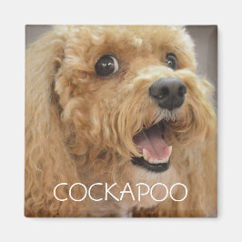 Imã Cachorro Cockapoo Adorável Sorridente