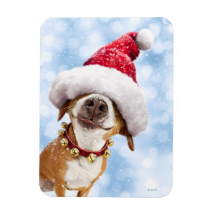 Ímã Cachorro Com Grande Chapéu De Papai Noel