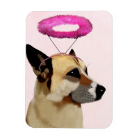 Cachorro com Halo Rosa