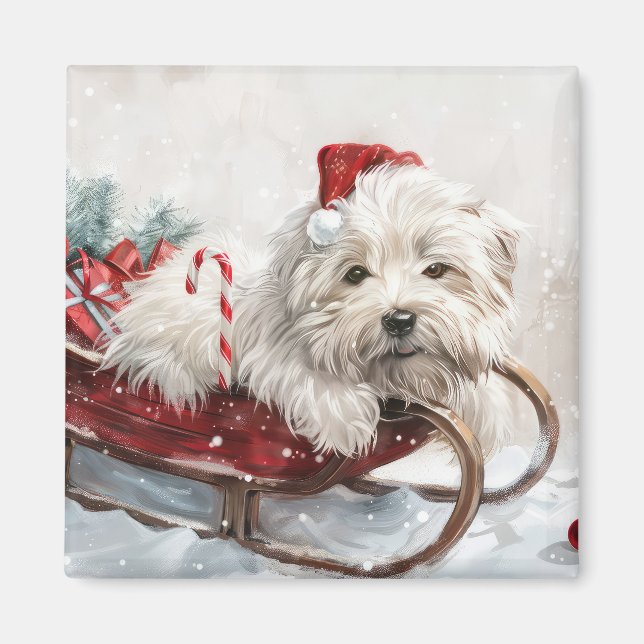 Imã Cachorro Coton De Tulear Natal Festivo (Frente)