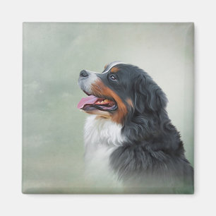 Imã Cachorro da Montanha Bernese