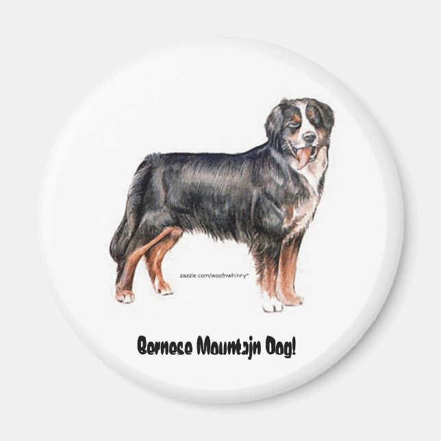 Imã Cachorro da Montanha Bernese (Frente)