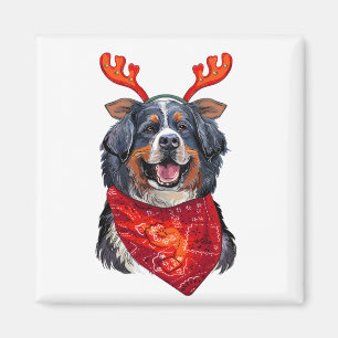 Imã Cachorro da Montanha Bernese de Natal