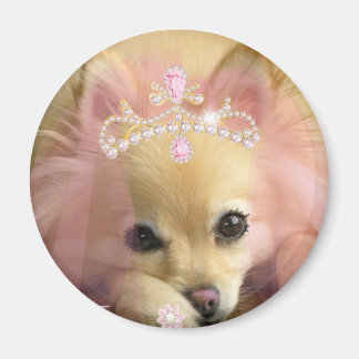 Imã cachorro da princesa fada com coroa de diamante