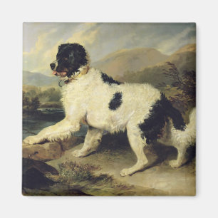 Imã Cachorro da Terra Nova Chamado Leão, 1824 (óleo