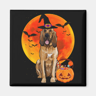 Imã Cachorro de Abóbora de Halloween São Huberto