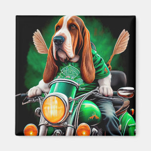 Imã Cachorro de Basset dirigindo Rua de bicicleta. Dia