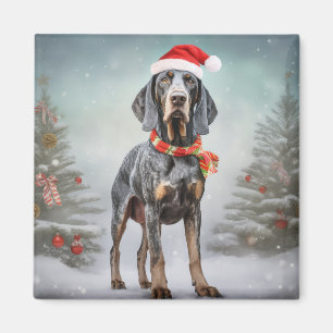 Imã Cachorro de Cachorro Bluetick no Natal da Neve